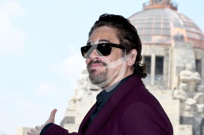 DiCaprio y Del Toro en Mx