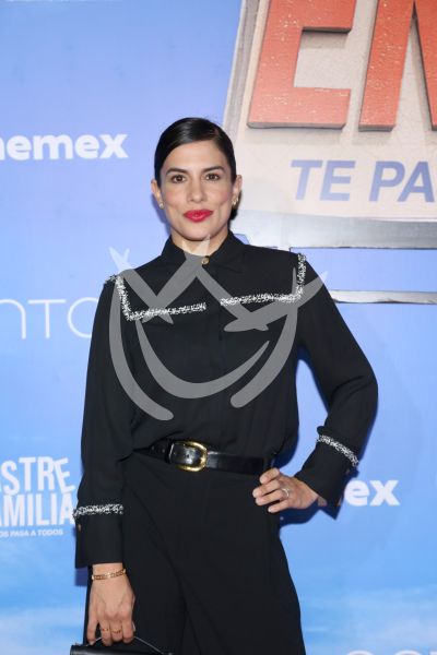 Tania Lizardo al Desastre