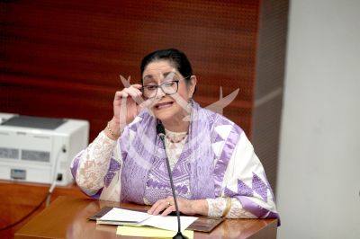 Angélica Aragón poderosa en el Senado