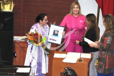 Angélica Aragón poderosa en el Senado