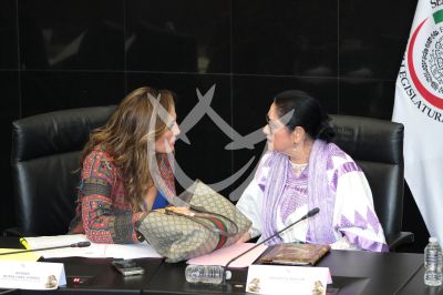 Verónica del Castillo y Angélica Aragón