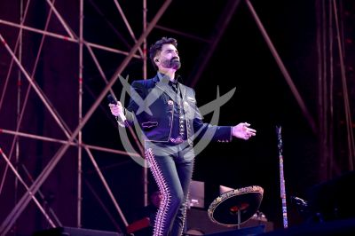 Alejandro Fernández es un Rey