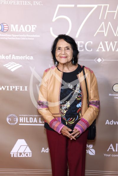 Dolores Heredia