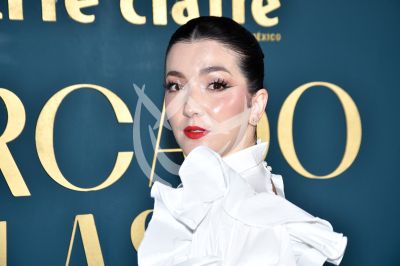 Eréndira Ibarra de Flores