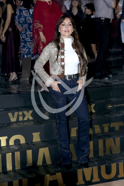 Angelique Boyer es Doménica