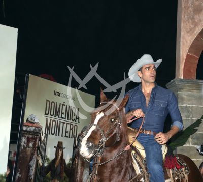 Marcus Ornellas en Doménica