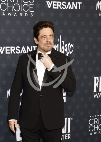 Benicio del Toro en los Critics Choice Awards