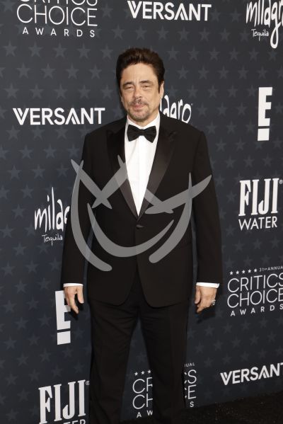 Benicio del Toro en los Critics Choice Awards