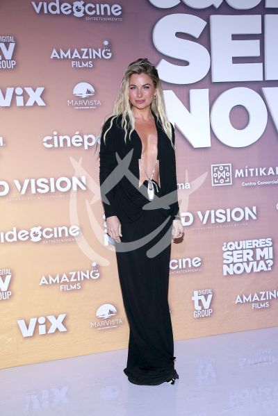 Ludwika Paleta de premier