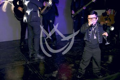 Abelito tendrá disco