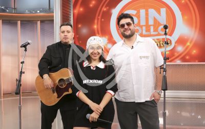 Matisse en Despierta América