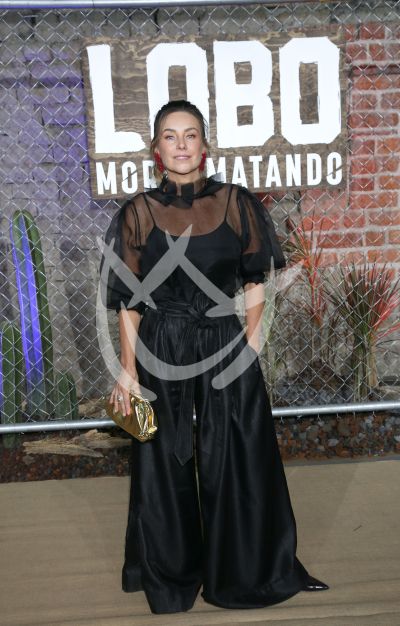 Dominika Paleta con Lobo