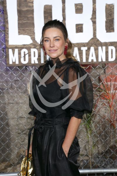 Dominika Paleta con Lobo