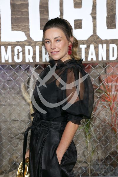 Dominika Paleta con Lobo