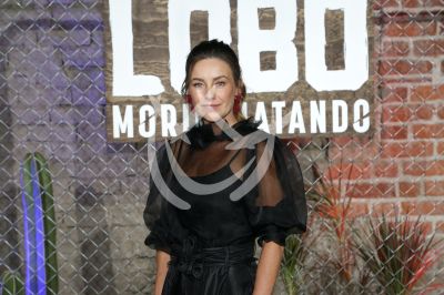 Dominika Paleta con Lobo