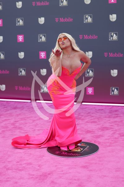 Wendy Guevara en PLN