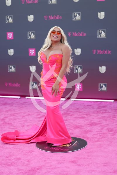 Wendy Guevara en PLN