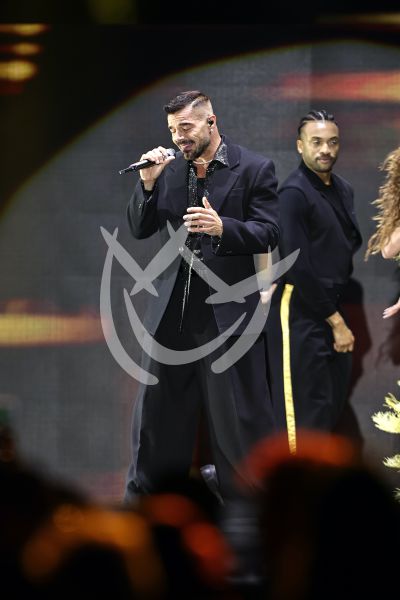 Ricky Martin pega hit en Mx