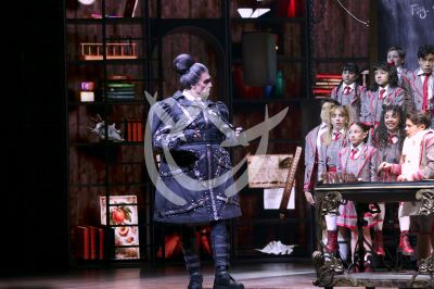 Jaime Camil en Matilda