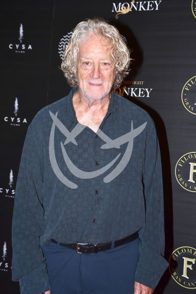 Luis Mandoki, Ron y Michael a la Pelea