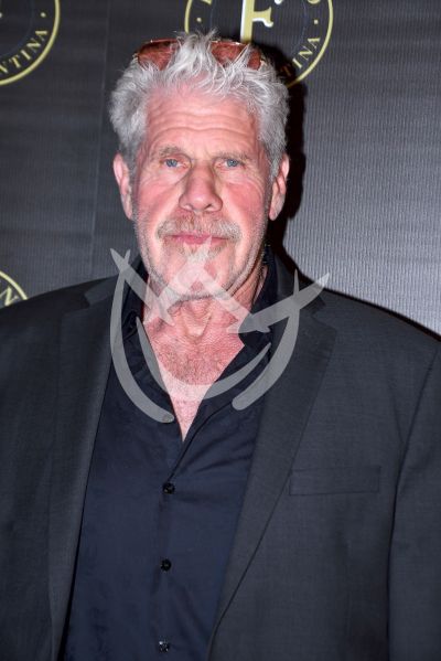 Ron Perlman a la Pelea