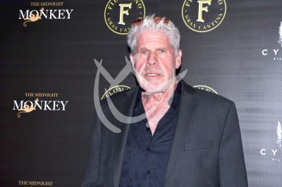 Ron Perlman a la Pelea