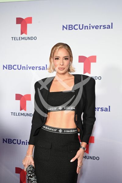 Aleyda Ortíz en upfront