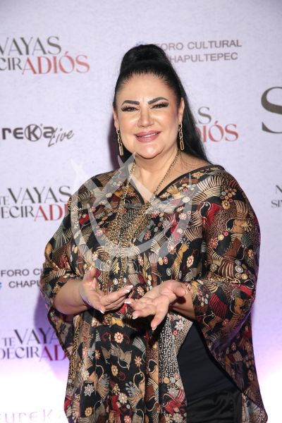 Alejandra Ávalos de despedida