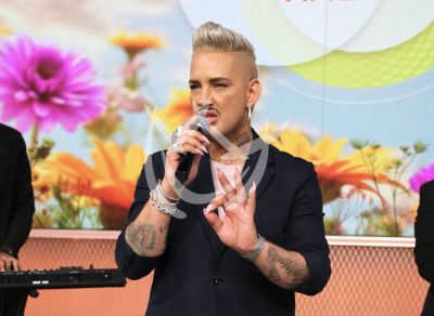 Daniel René en Despierta