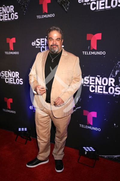 en ESDLC10