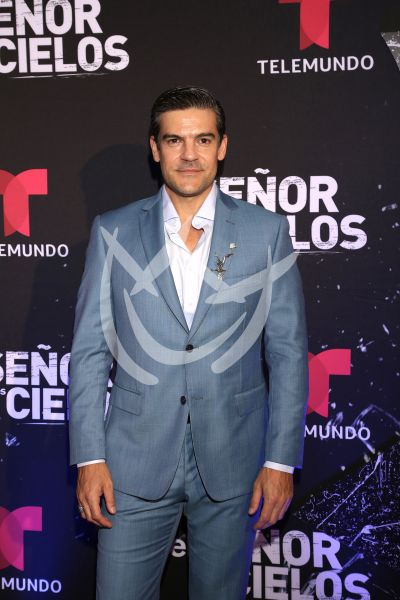 en ESDLC10