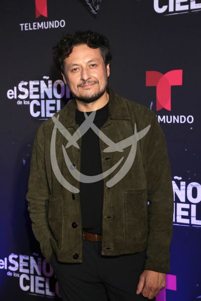 en ESDLC10