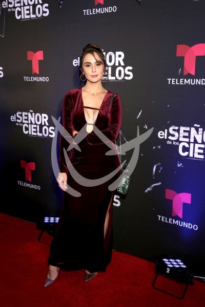 en ESDLC10