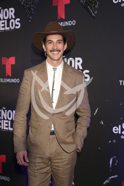 en ESDLC10