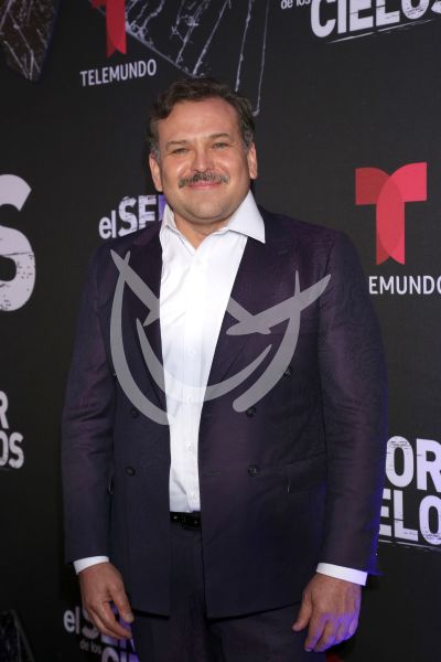 en ESDLC10
