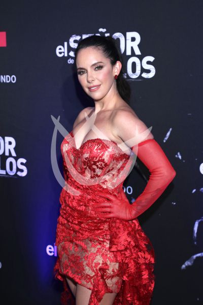 en ESDLC10
