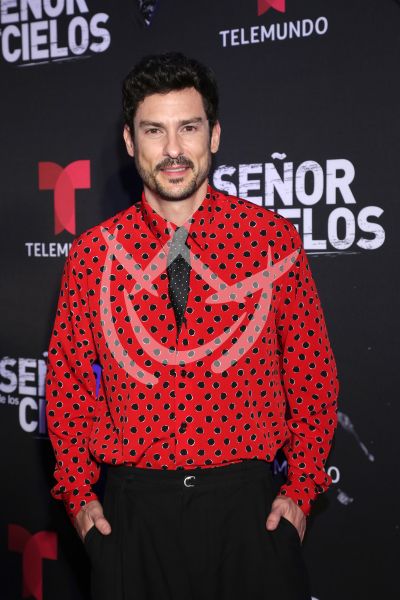 en ESDLC10