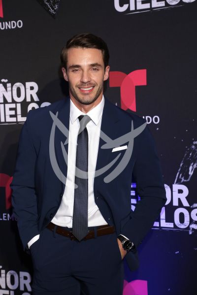 en ESDLC10