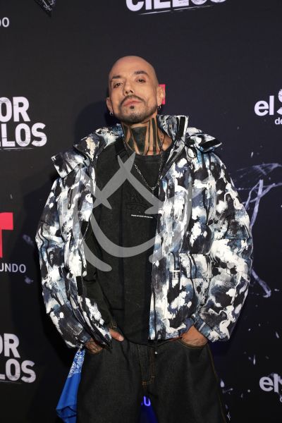 en ESDLC10