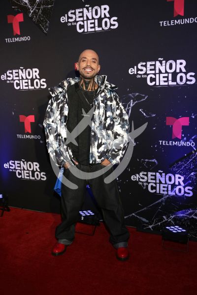 en ESDLC10