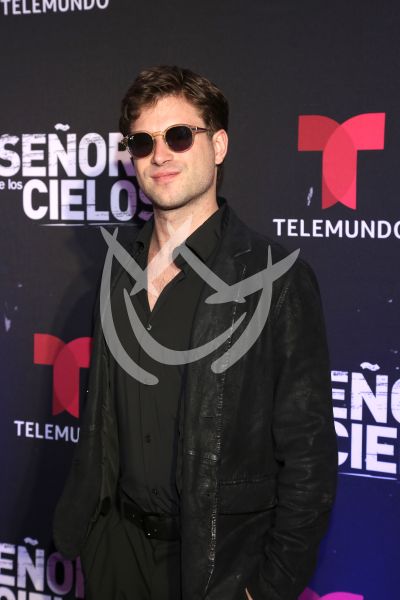 en ESDLC10