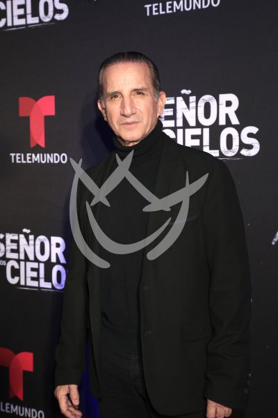 en ESDLC10