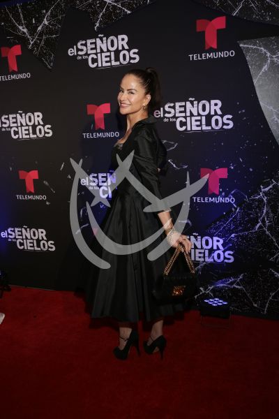 en ESDLC10
