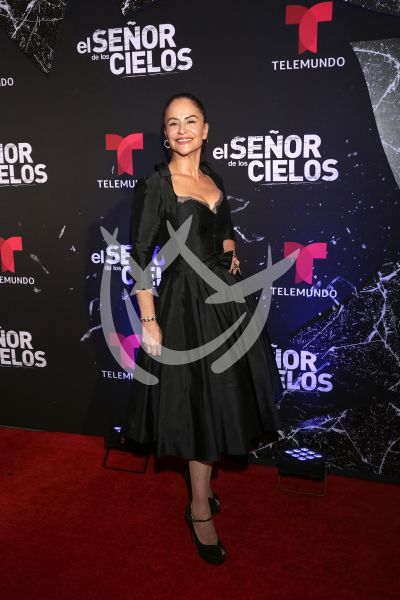 en ESDLC10