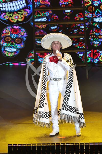 Pedro Fernández es Ave Fénix