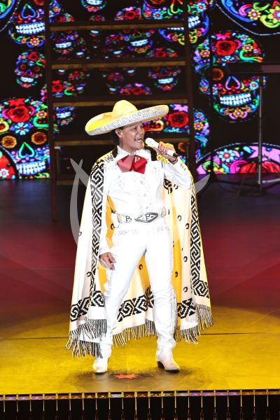 Pedro Fernández es Ave Fénix