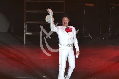 Pedro Fernández es Ave Fénix