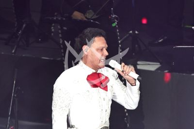 Pedro Fernández es Ave Fénix