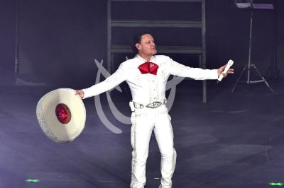 Pedro Fernández es Ave Fénix
