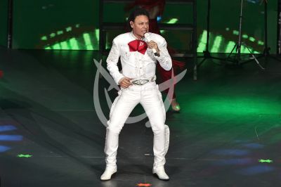 Pedro Fernández es Ave Fénix